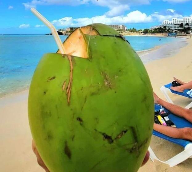 پانسیون Dee Retreat Villa Sxm