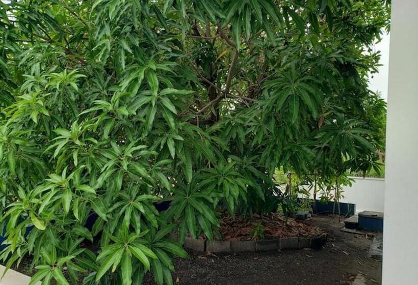 پانسیون Dee Retreat Villa Sxm