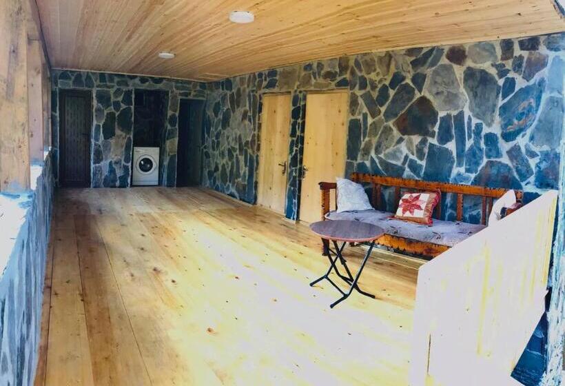 پانسیون Ushguli   Xii Century