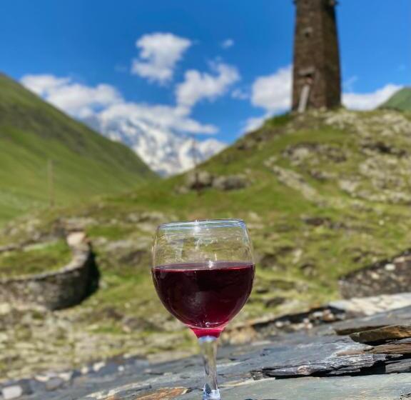 پانسیون Ushguli   Xii Century