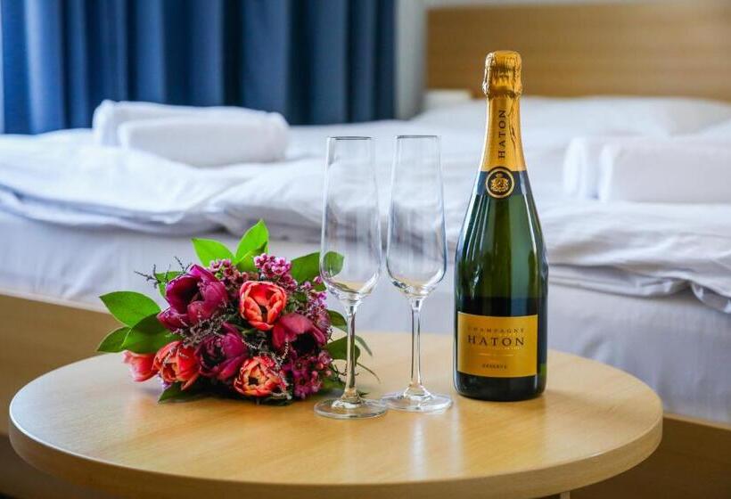 פנסיון Pod Zámkem