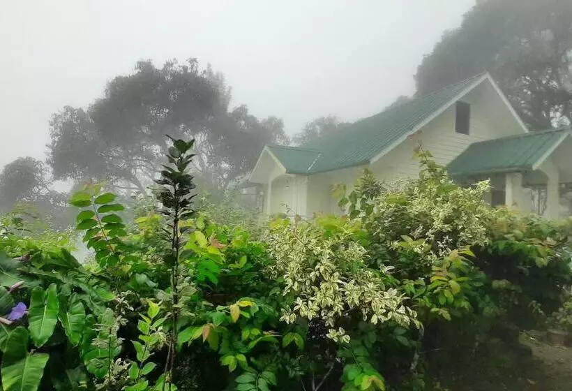 Pension  Summer Dew