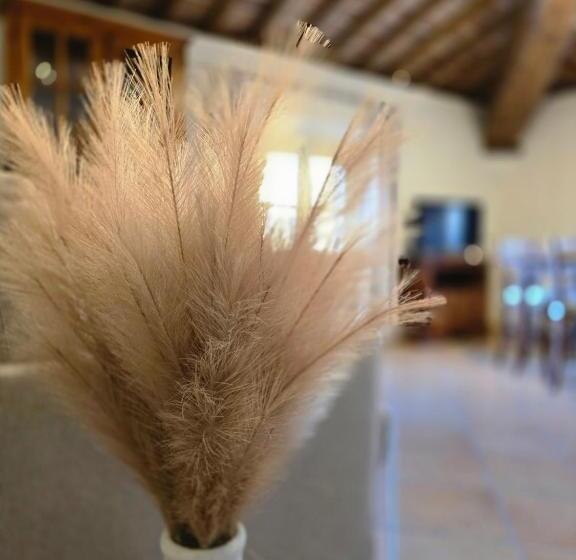 Residence Internazionale