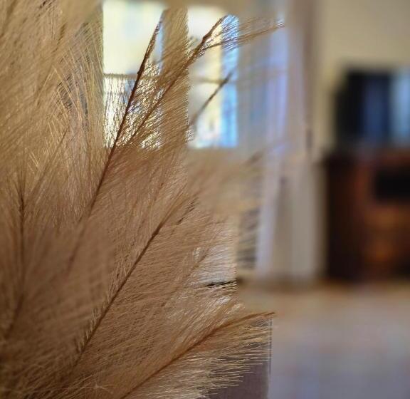 Residence Internazionale