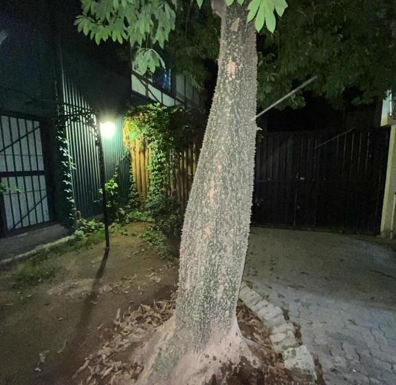 הוסטל La Posada Del Colibrí