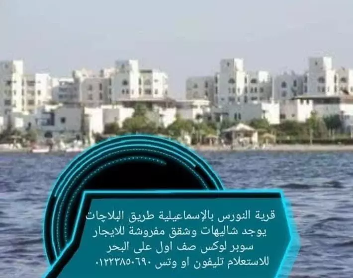 قرية النورس مكتب السعد