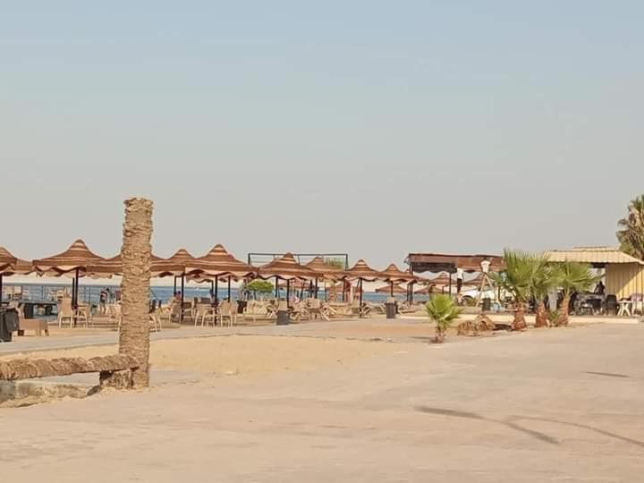 قرية النورس مكتب السعد