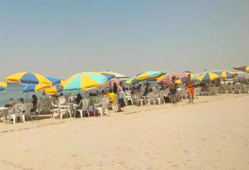 قرية النورس مكتب السعد