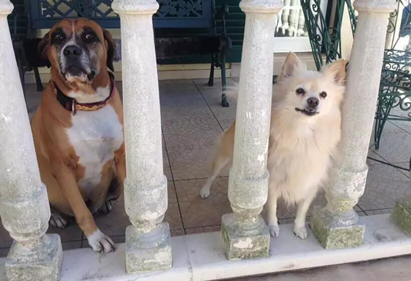 Majatalo Sun House Ii   Near Sintra   Kitchen   Poll