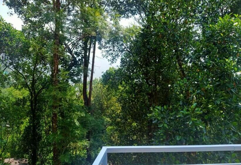 リゾートホテル Jungle Valley