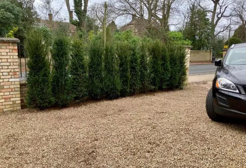 Yew Tree House, Bed & Breakfast In Colchester