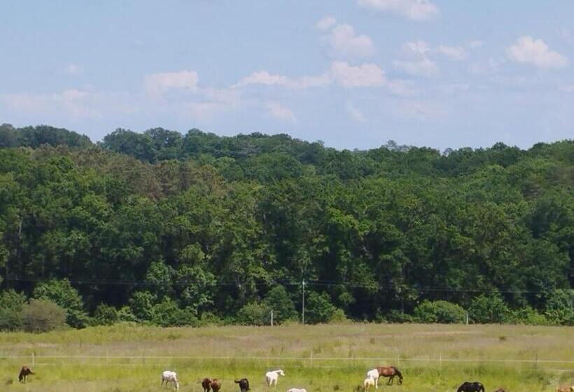 住宿加早餐  Cheval Nomad