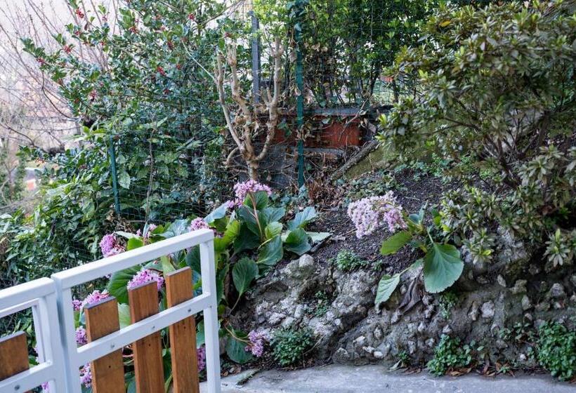 تختخواب و صبحانه Residence Villa Eli