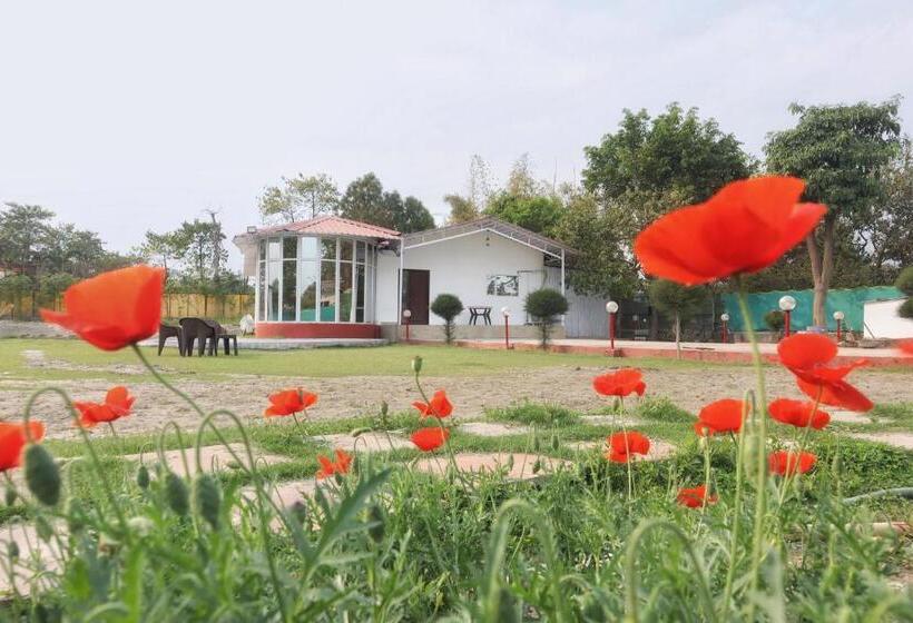 בית מלון כפרי Raha Farm