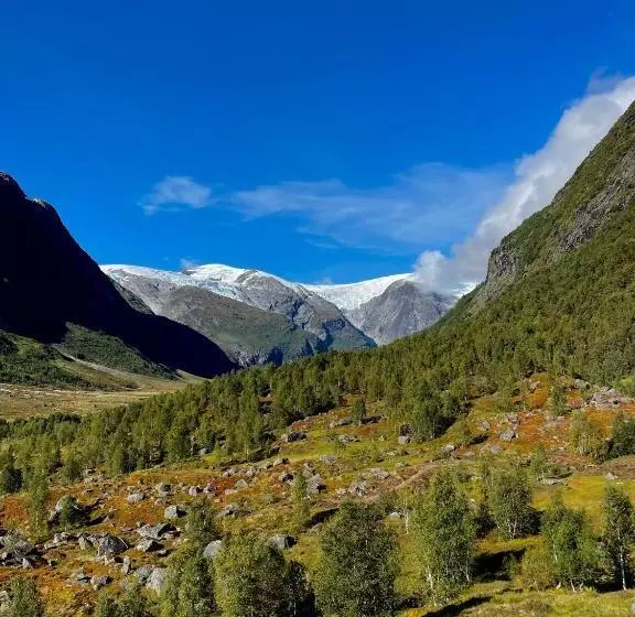 ユースホステル Tungestølen