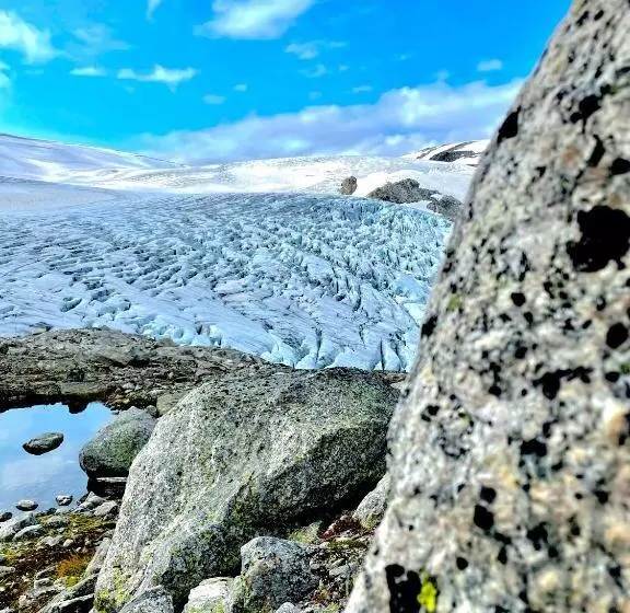 ユースホステル Tungestølen