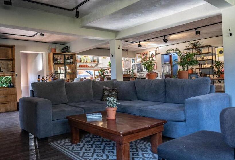 تختخواب و صبحانه La Finca Hostel De Montaña Habitación Amancay