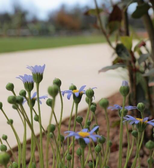 Cesarina Suite Apartment