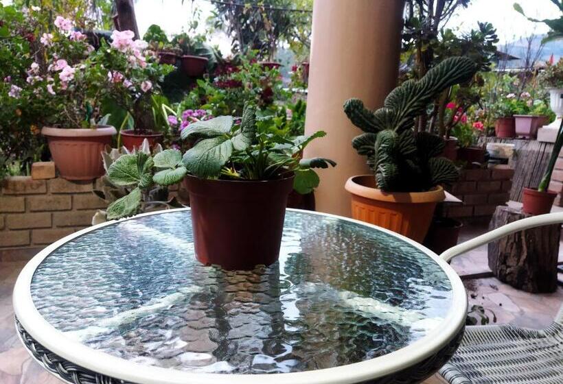 پانسیون Habitación En Casa De Campo