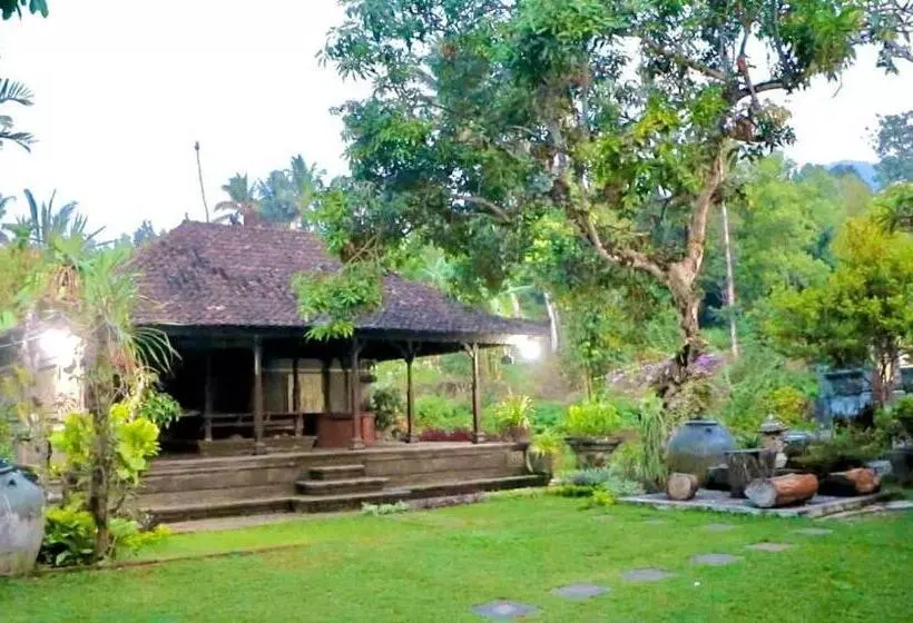 Majatalo Mesari Cottage Guest House