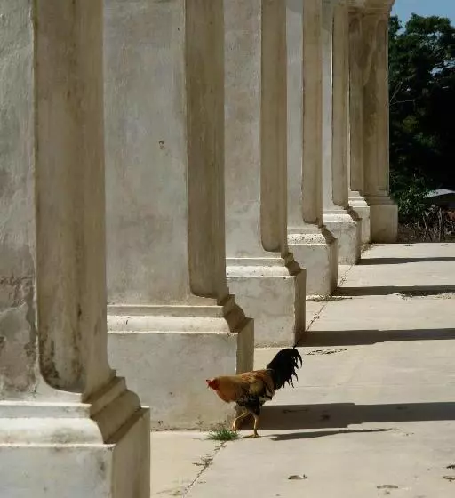 تختخواب و صبحانه La Cubanita