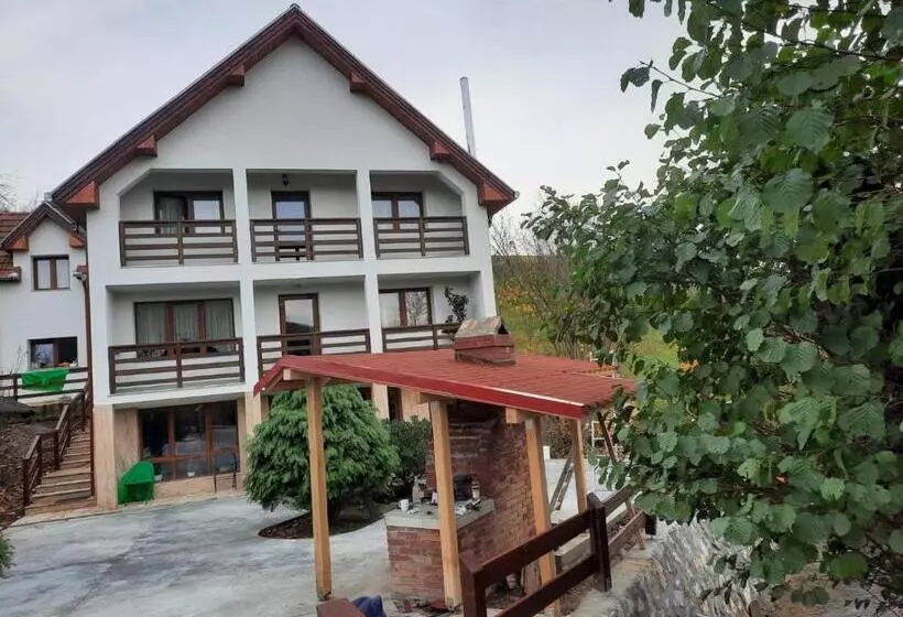 Pensiunea Valea Toplitei