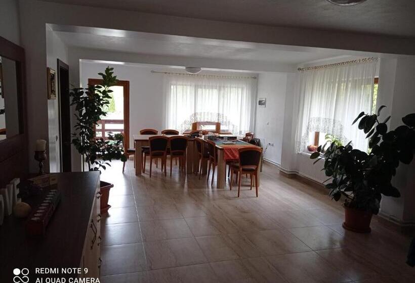 Pensiunea Valea Toplitei