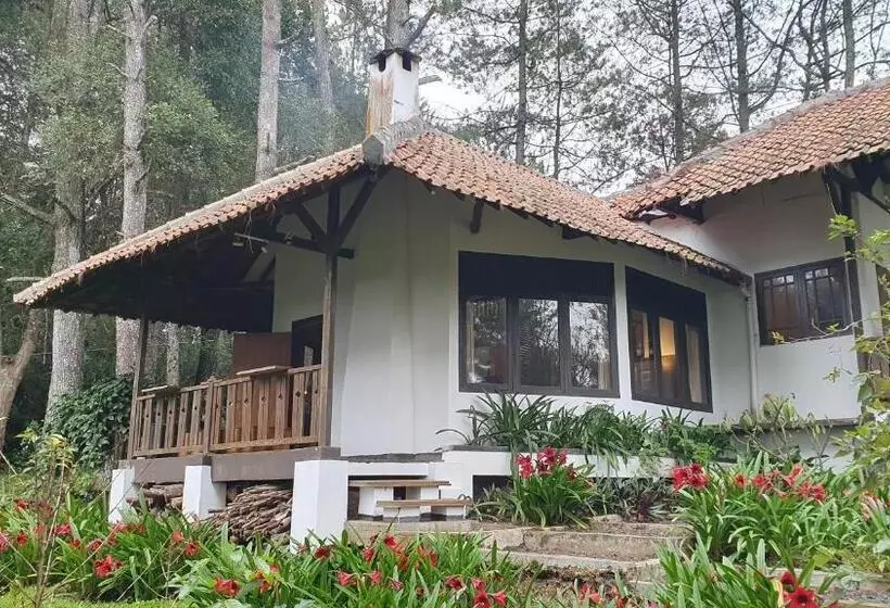 Ostello Kartika Lodge
