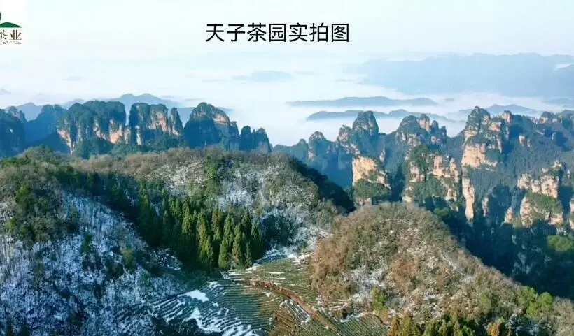 Hotelli Zhangjiajie Yolo Resort  Within Zhangjiajie National Forest Park