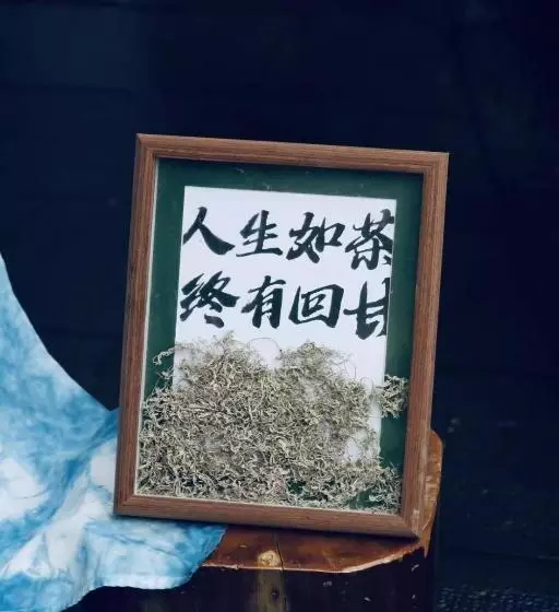 Hotelli Zhangjiajie Yolo Resort  Within Zhangjiajie National Forest Park