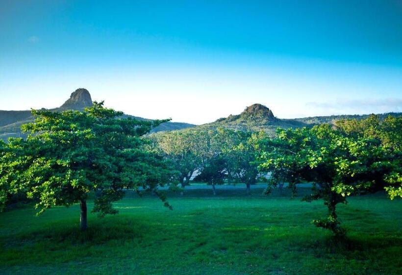 تختخواب و صبحانه Golden Sea Inn