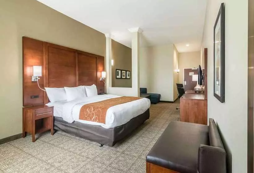 ホテル Comfort Suites Meridian And I40