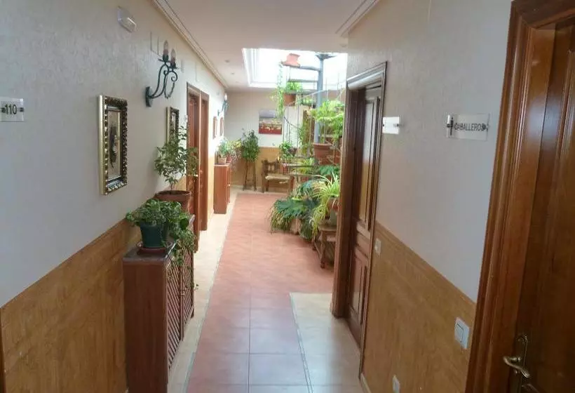 Hotel Paqui