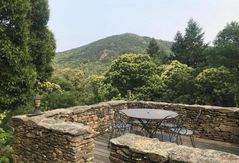 ベッドアンドブレックファースト Fount Estremiero