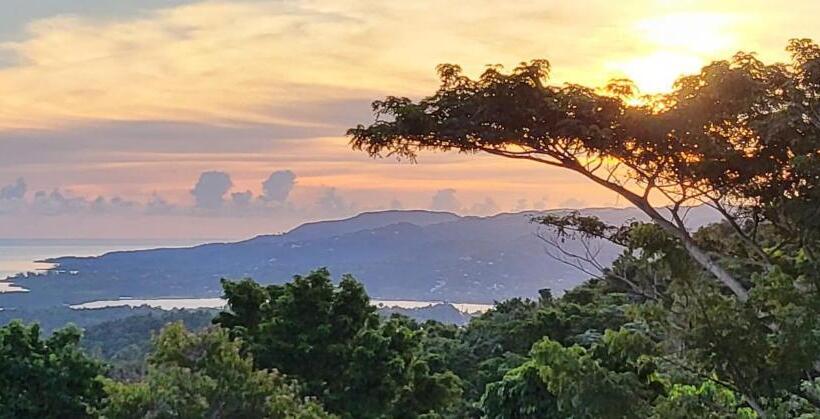 هتل Misbhaven Resort And Spa