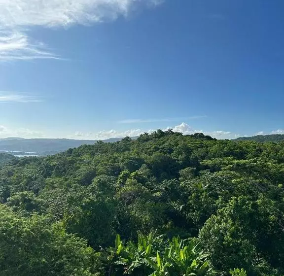 هتل Misbhaven Resort And Spa