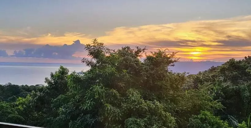 هتل Misbhaven Resort And Spa