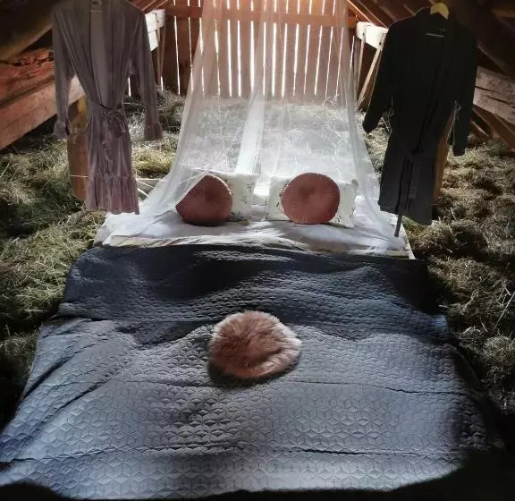 پانسیون Hay Barn Unique Experience Visole