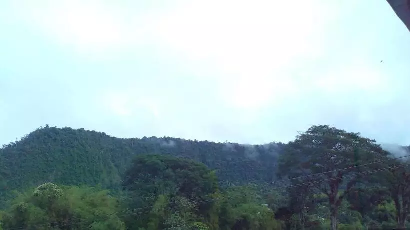 Aracari Inn Mindo