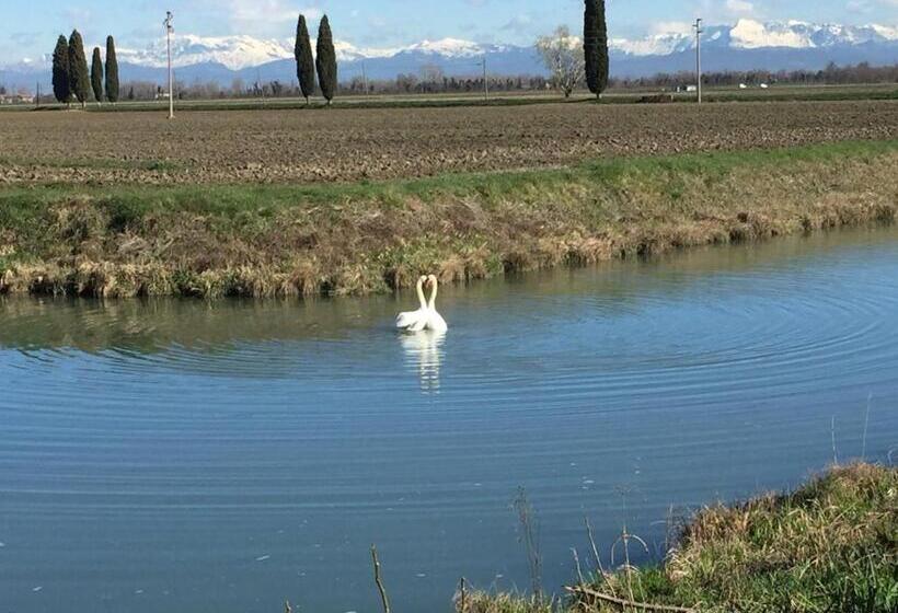Отель Agriturismo Riva Mondina
