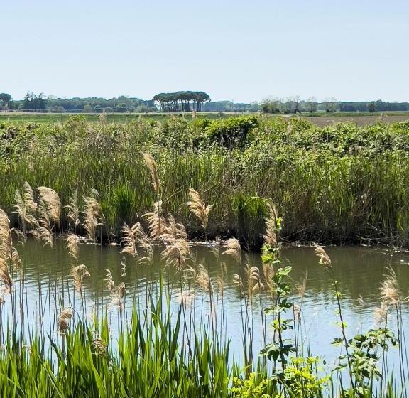 Отель Agriturismo Riva Mondina