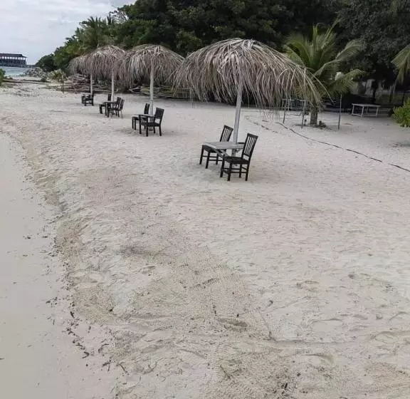 ホテル Pom Pom Celebes Beach Resort邦邦岛西里伯斯度假村