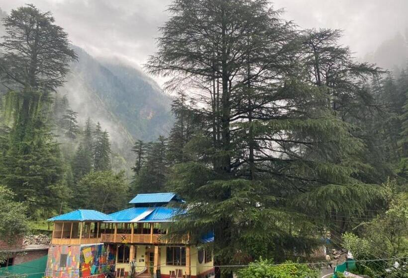 הוסטל Yodo Kasol, You Only Die Once