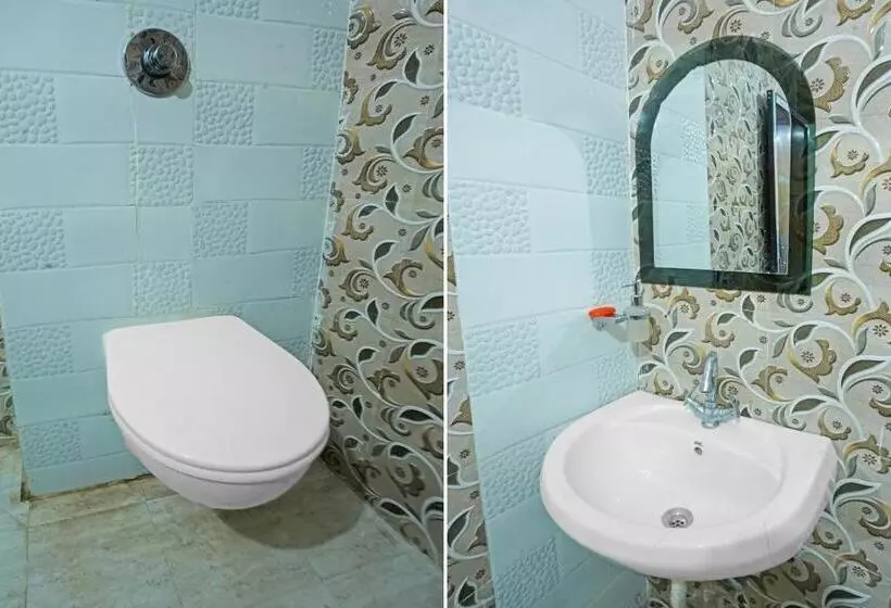 Flagship Hotel Sneh Inn Rms Colony
