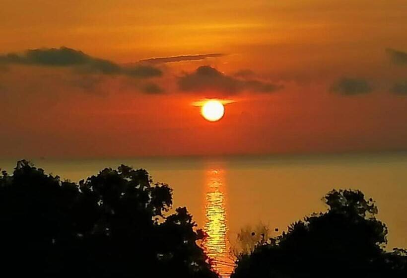 Resort D View Holiday Homes