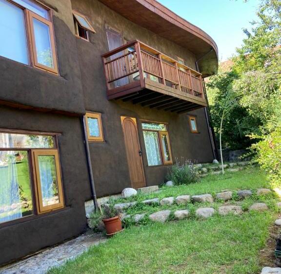 住宿加早餐  Amelia Villarrica