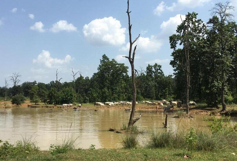 אתר נופש Emerald Tiger Retreat