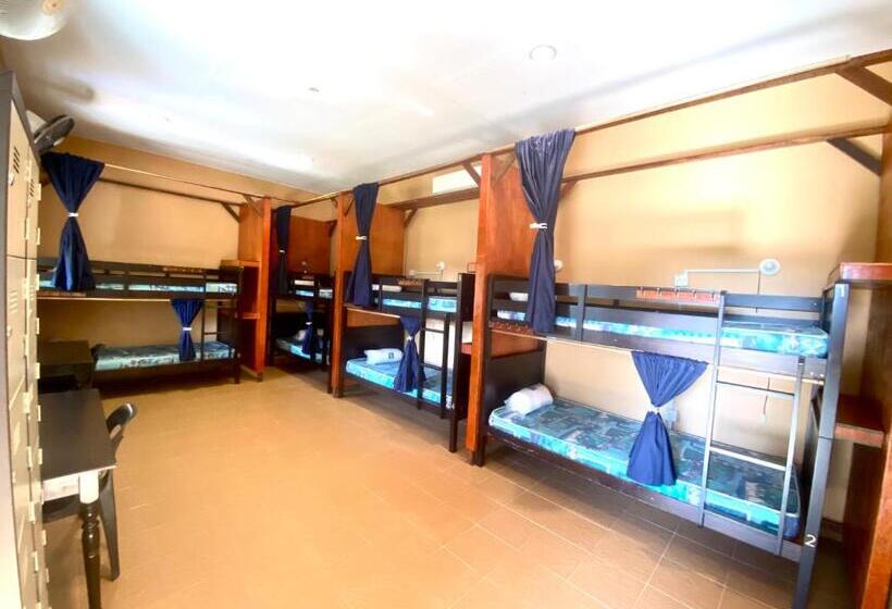 פנסיון Soluna Guest House