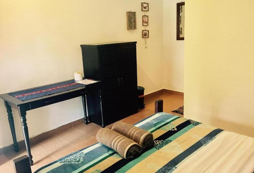 פנסיון Soluna Guest House