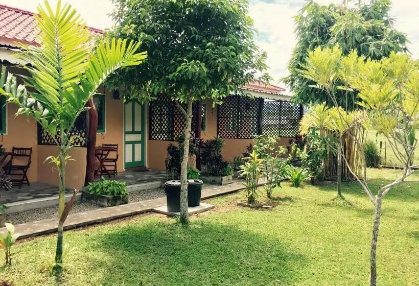 ペンション Soluna Guest House